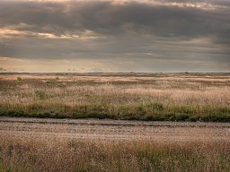 IMGP6083_Borris Soenderland